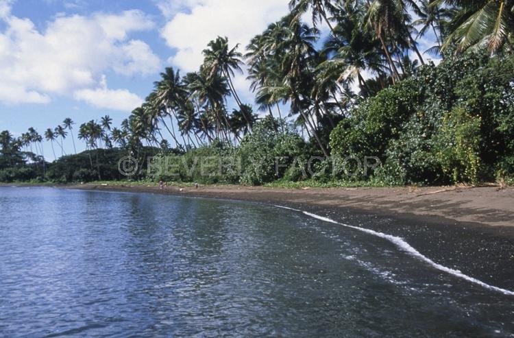 Islands;shore line;palm trees;Taveuni;Fiji;blue water;sky